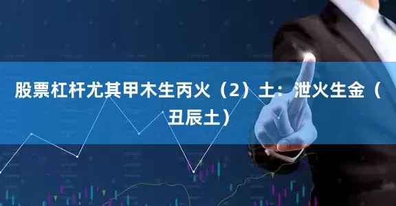 股票杠杆尤其甲木生丙火（2）土：泄火生金（丑辰土）